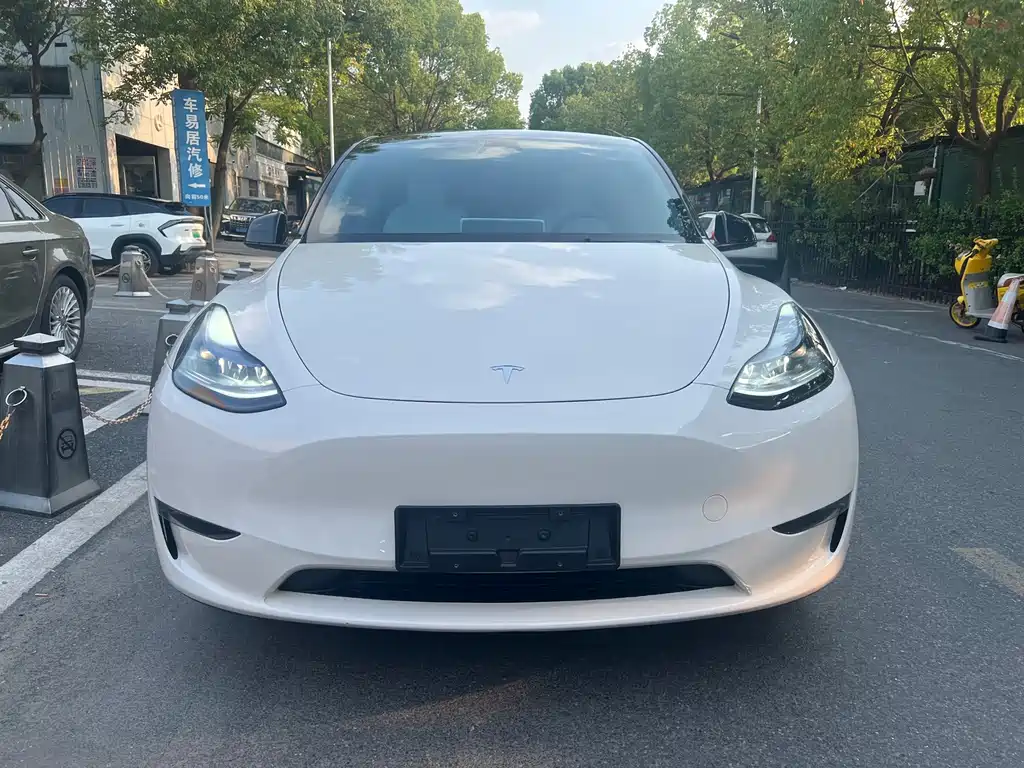 Tesla Model Y — миниатюра 2