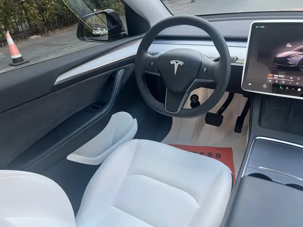Tesla Model Y — миниатюра 11