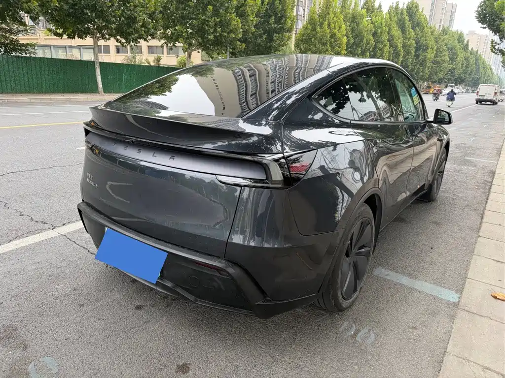 Tesla Model Y — миниатюра 3