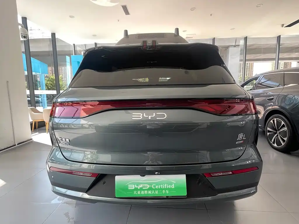 BYD Дон Л. — миниатюра 14