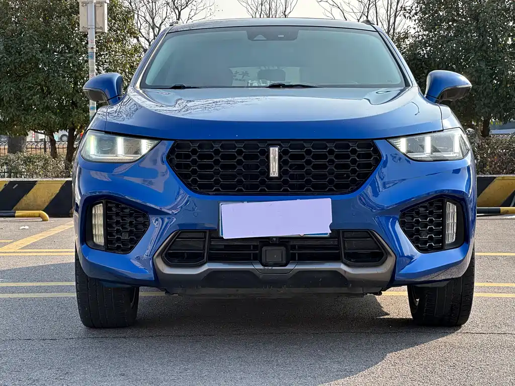 WEI PAI WEI BRAND VV5