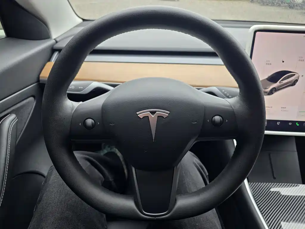 Tesla Model 3 — миниатюра 9