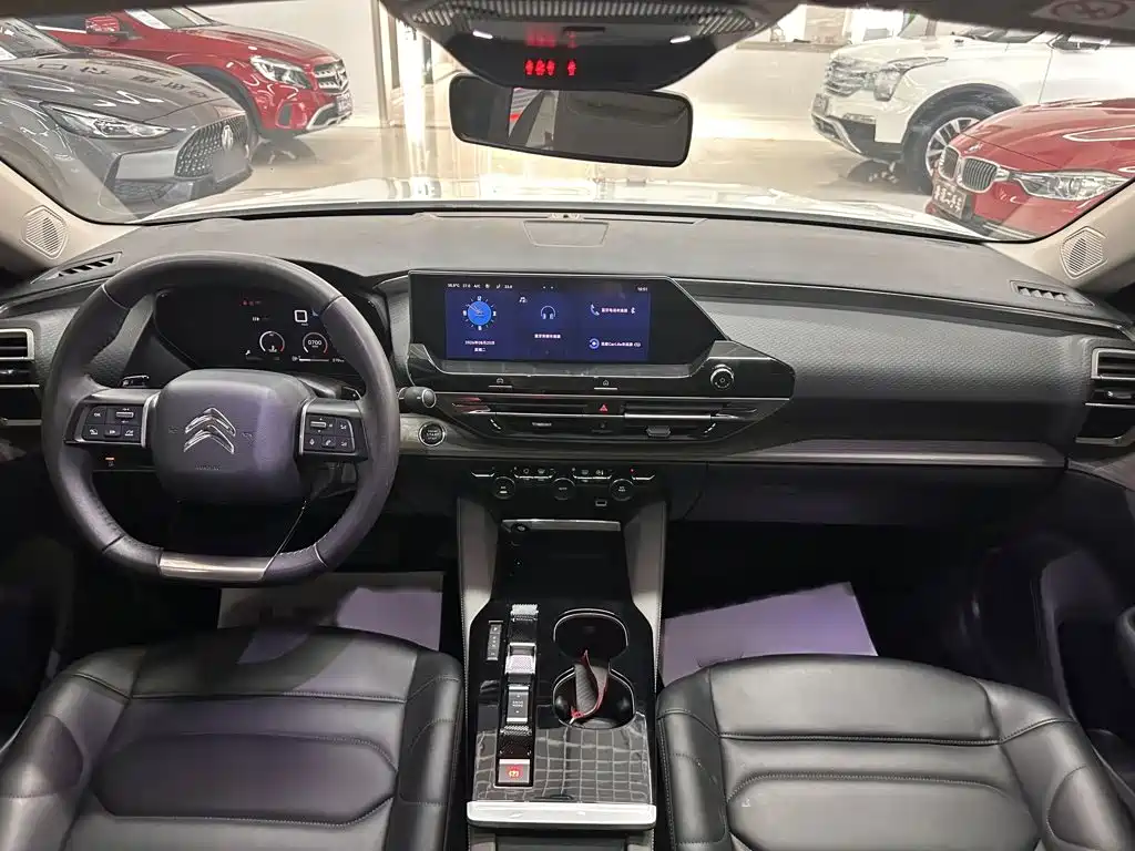 Citroen C5 X — миниатюра 12