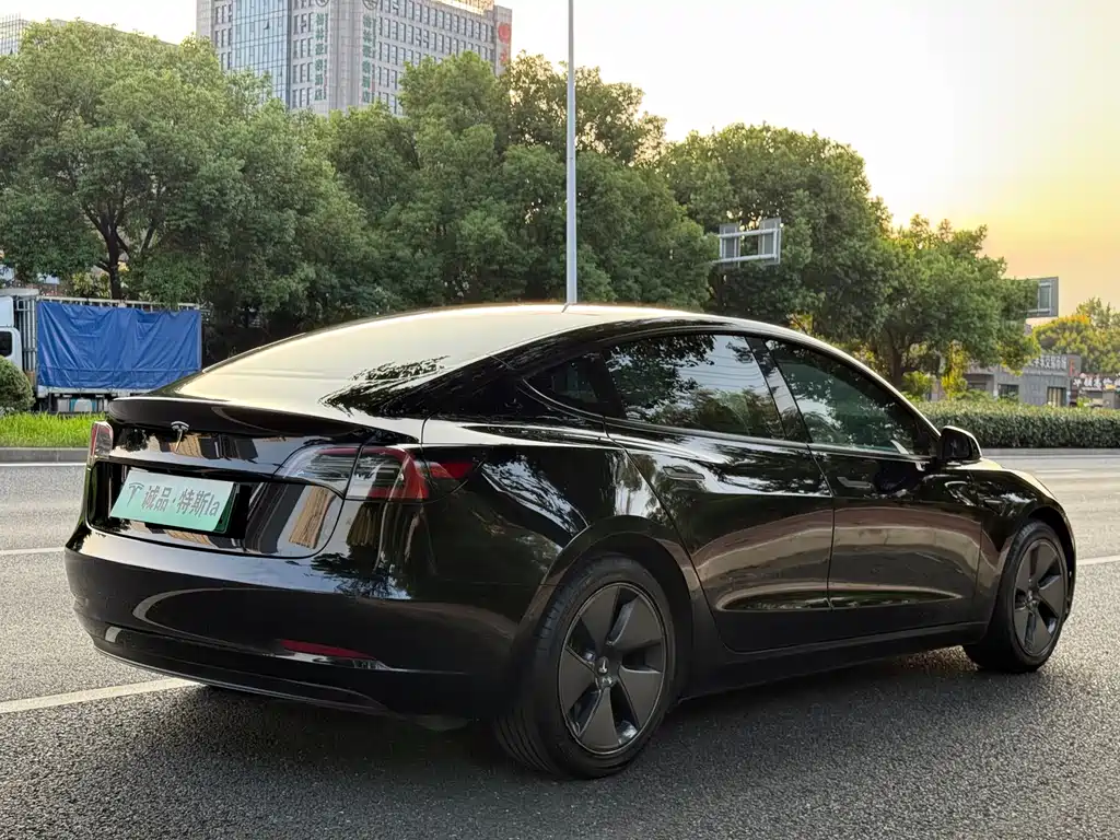 Tesla Model 3 — миниатюра 5