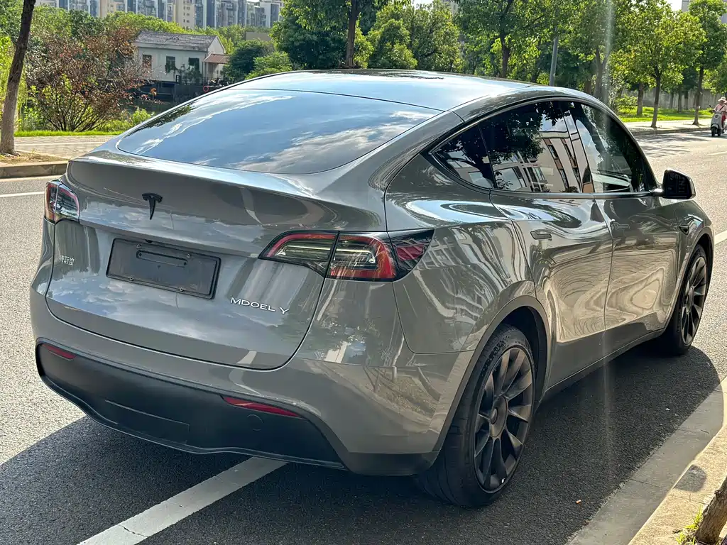 Tesla Model Y — миниатюра 6