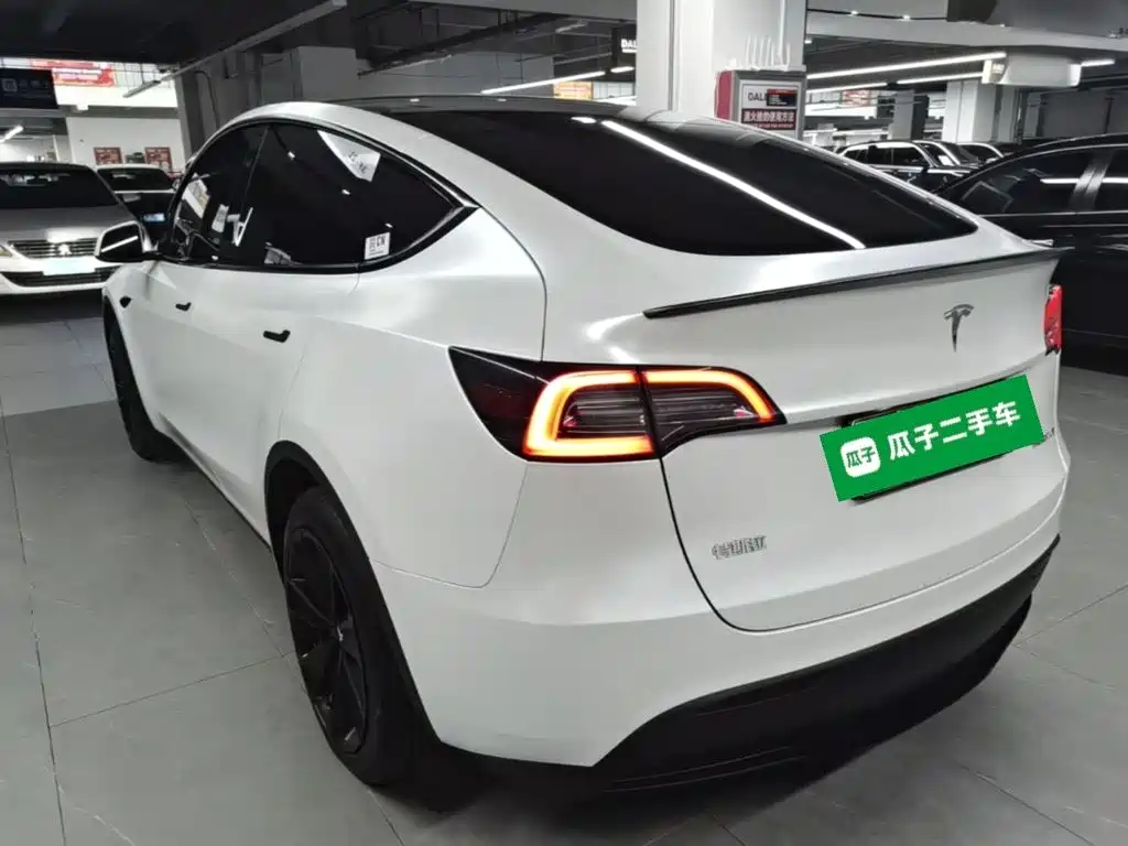 Tesla Model Y — миниатюра 5