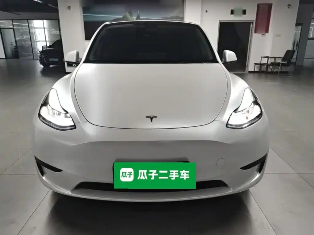 Tesla Model Y — миниатюра 3