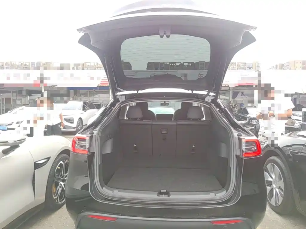 Tesla Model Y — миниатюра 19
