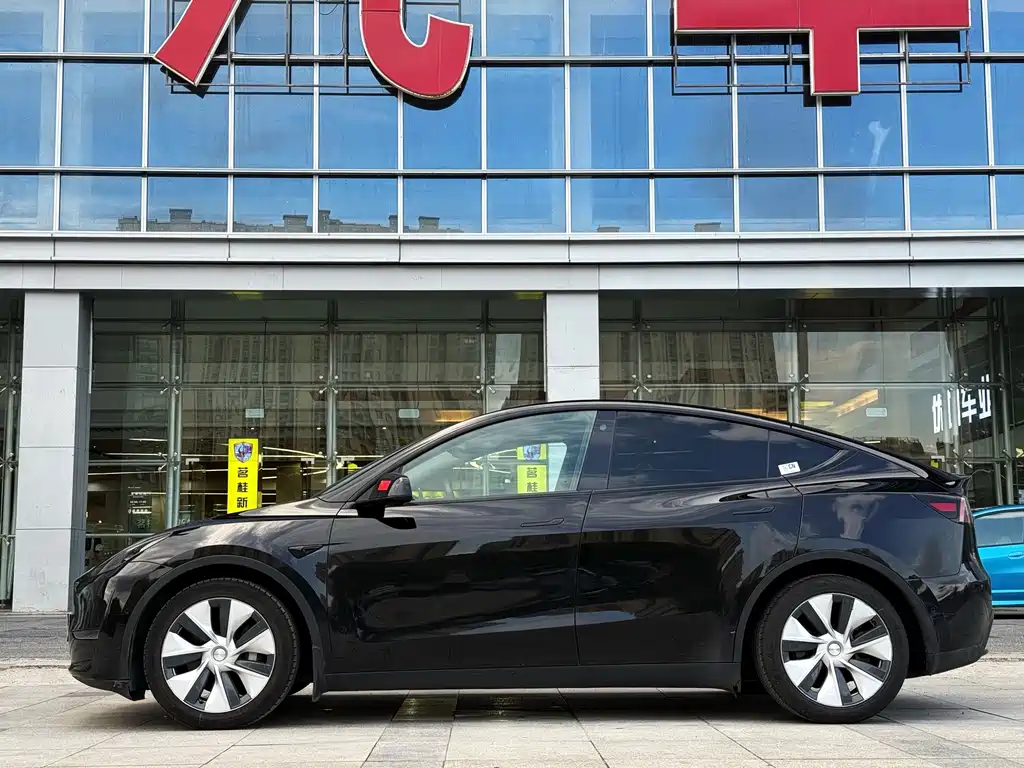 Tesla Model Y — миниатюра 7