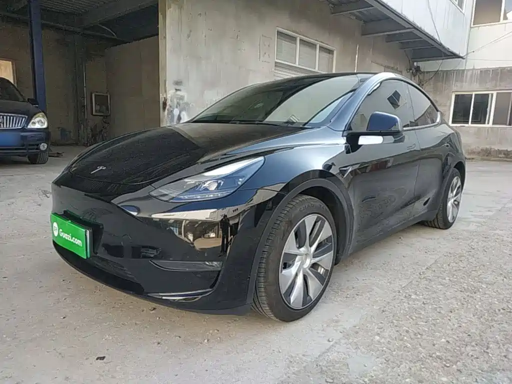 Tesla Model Y — миниатюра 2