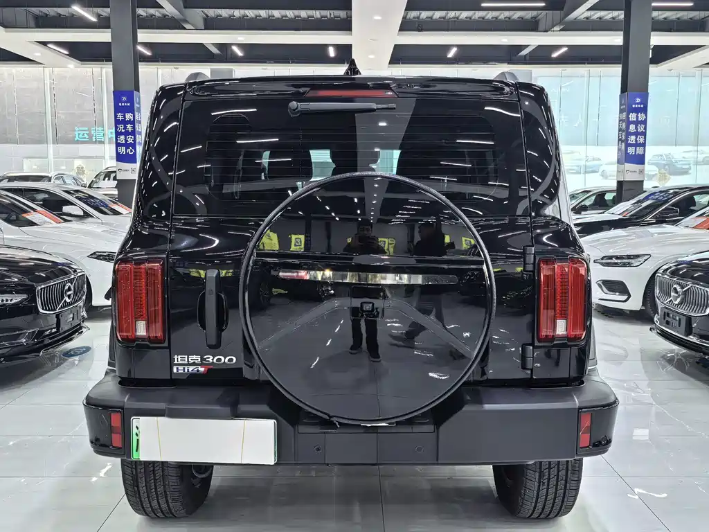 TANK TANK 300 NEW ENERGY