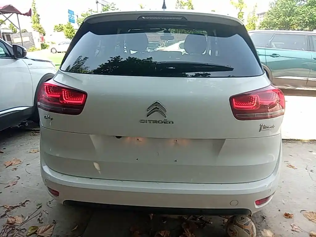 Citroen C4 Picasso — миниатюра 6