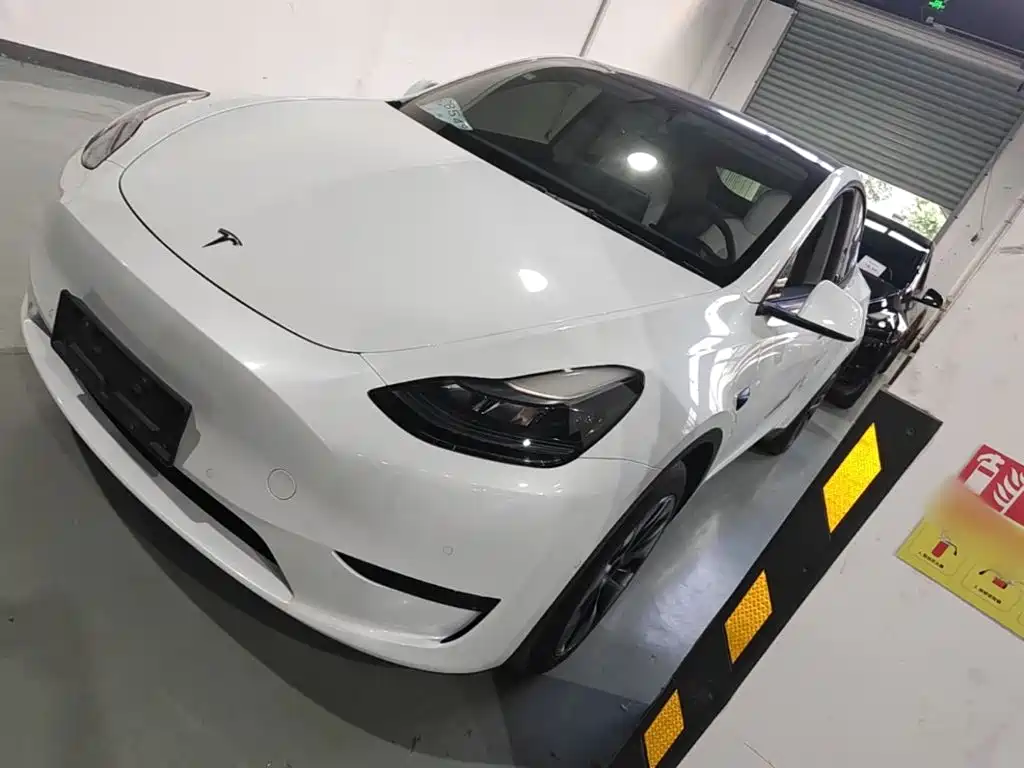 Tesla Model Y — миниатюра 2