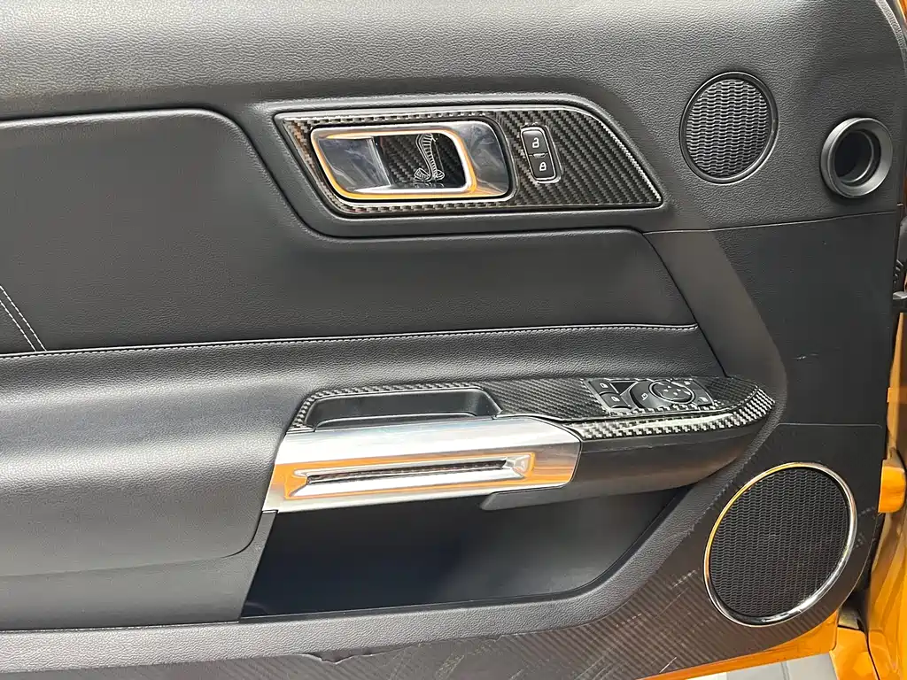 Ford Mustang — миниатюра 24
