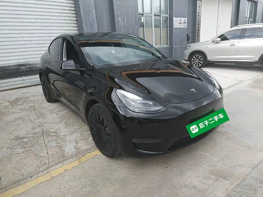 Tesla Model Y — миниатюра 4