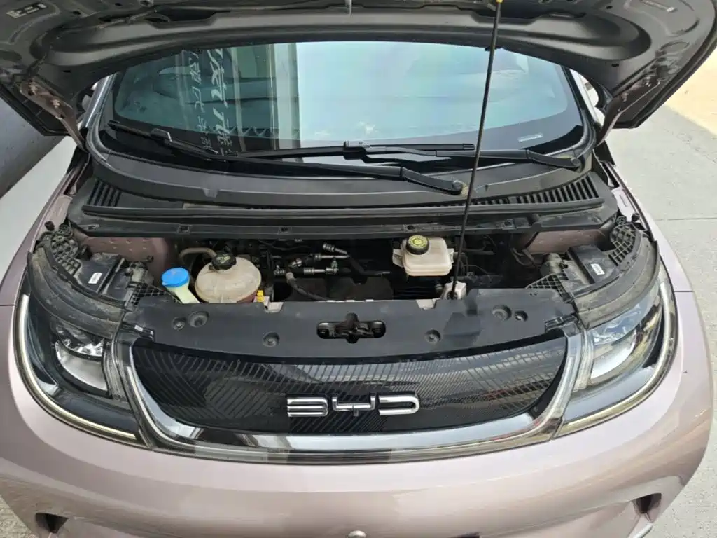 BYD Dolphin — миниатюра 20