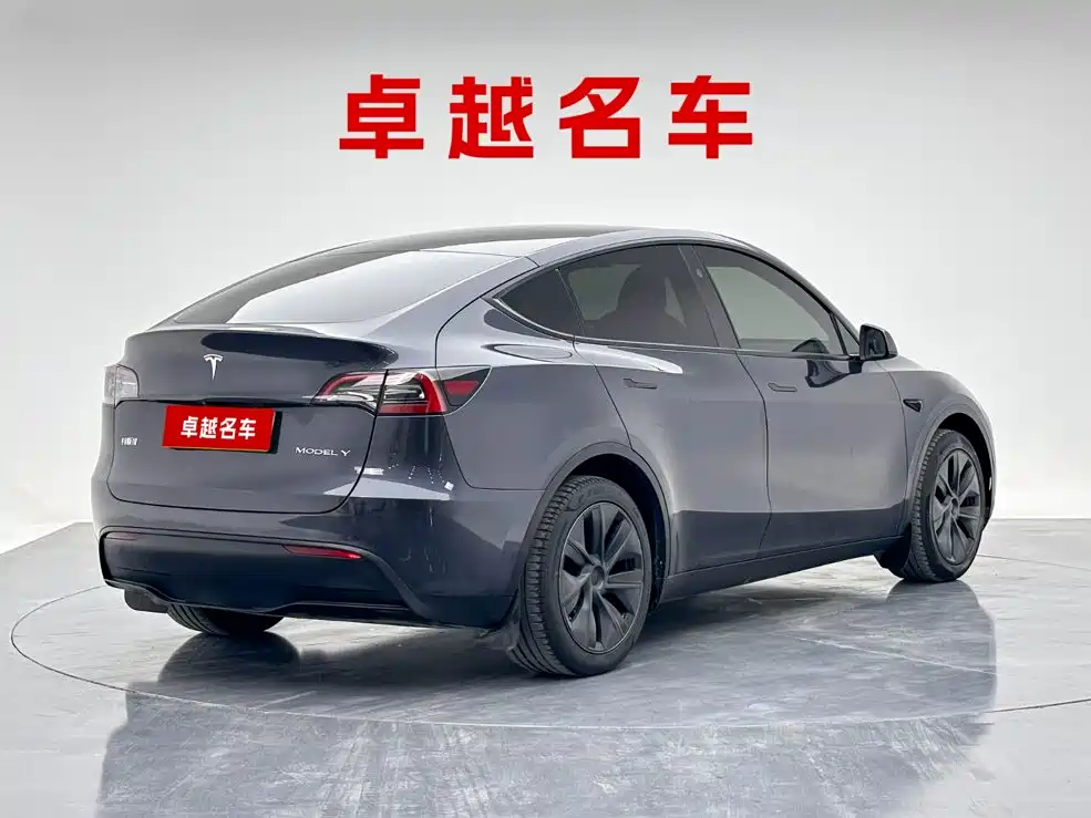 Tesla Model Y — миниатюра 3