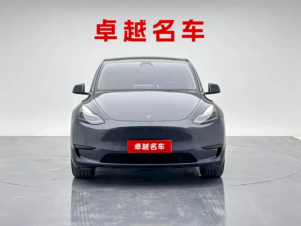 Tesla Model Y — миниатюра 6