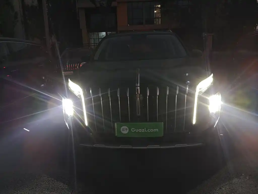 Hongqi Hongqi HS7 PHEV — миниатюра 3