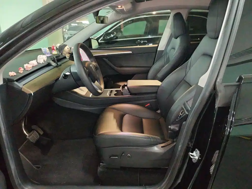 Tesla Model Y — миниатюра 11