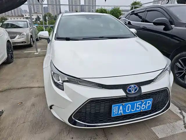TOYOTA LEI LING 2019