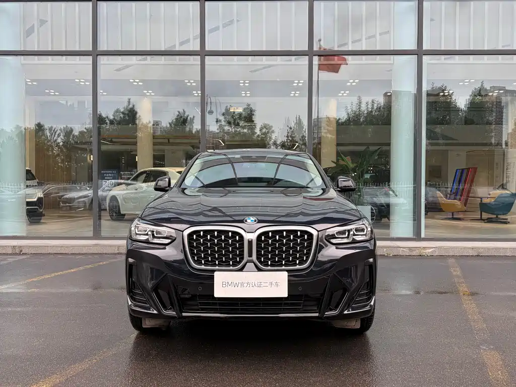 BMW X4 — миниатюра 2