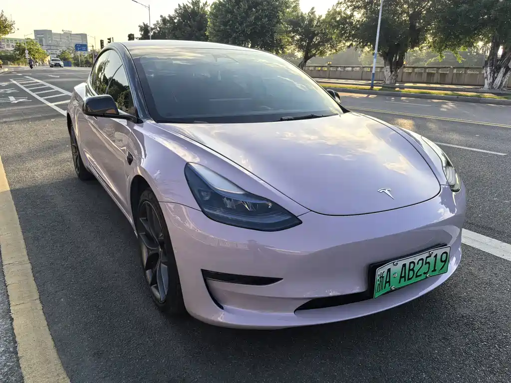 Tesla Model 3 — миниатюра 3