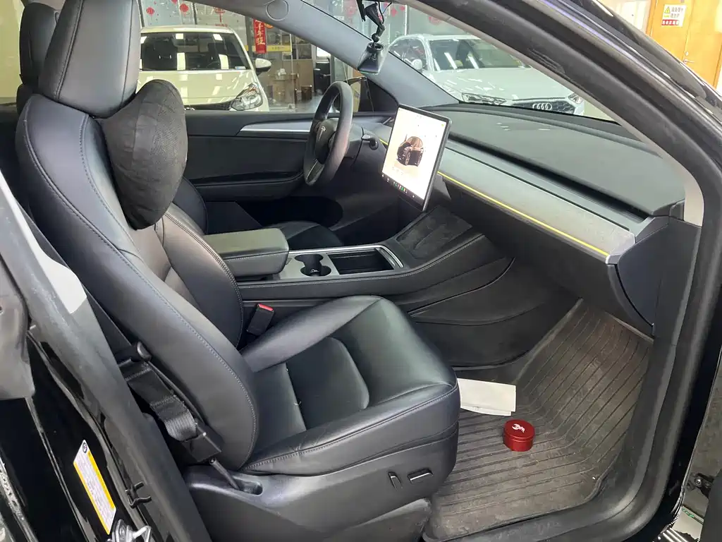 Tesla Model Y — миниатюра 9