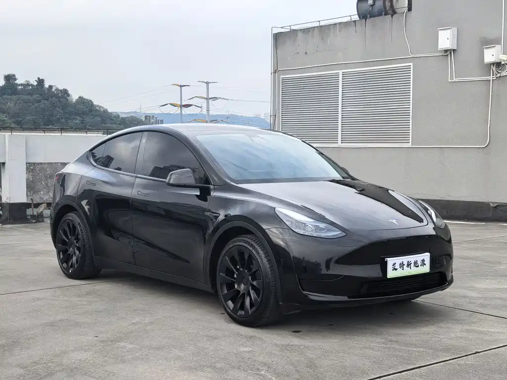 Tesla Model Y — миниатюра 2