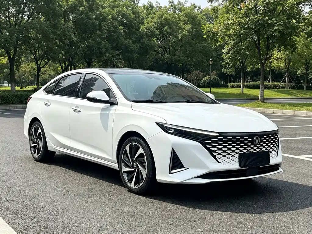 Changan Ruicheng PLUS — миниатюра 3