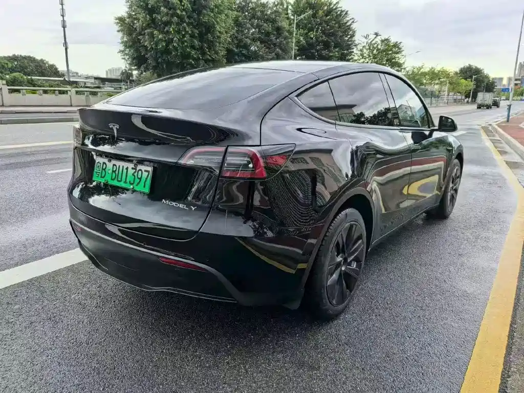 Tesla Model Y — миниатюра 3