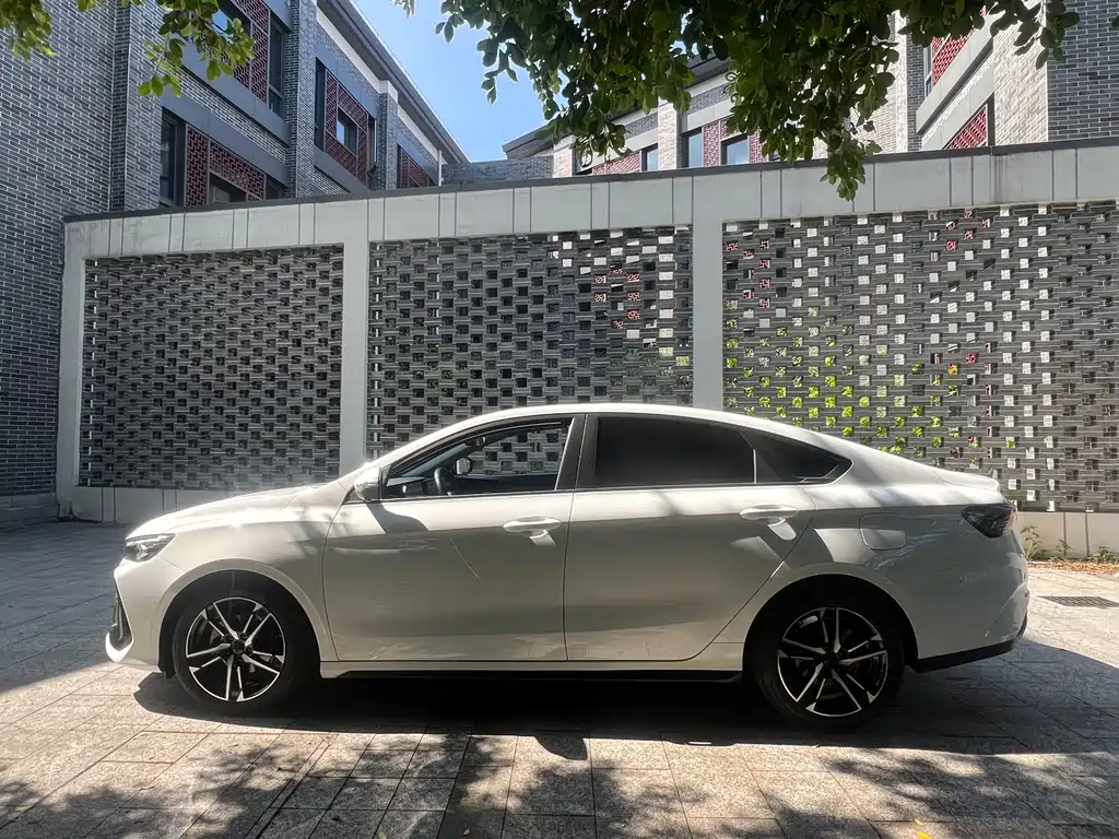 GEELY AUTOMOBILE BINRUI