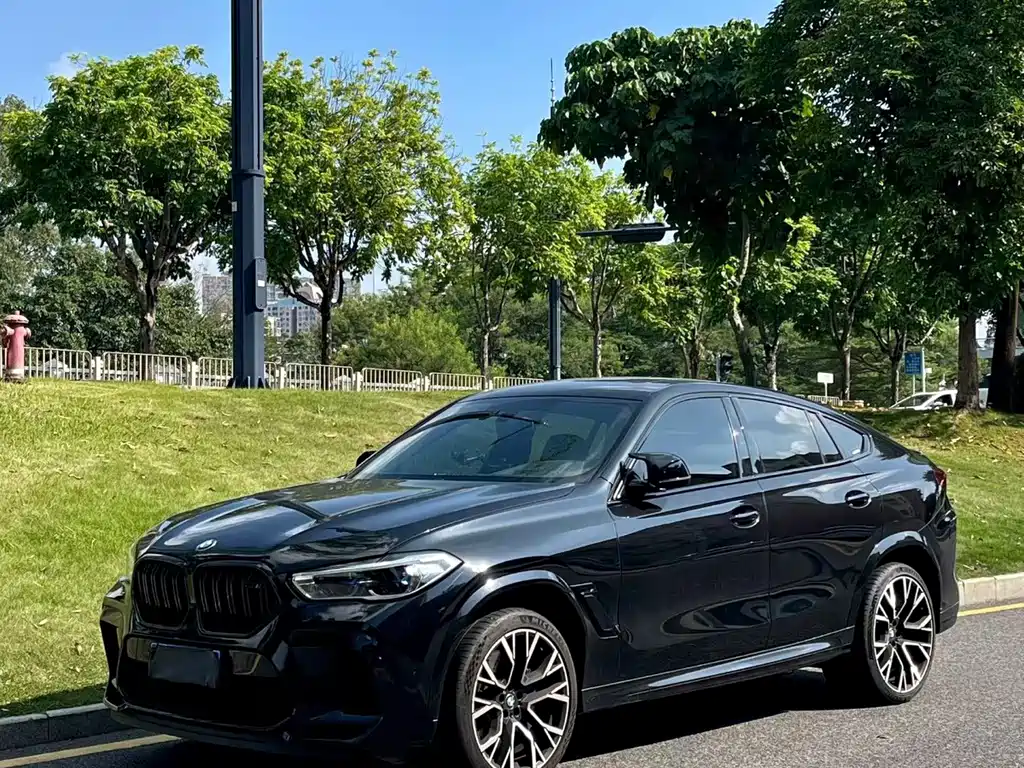 BMW X6 M