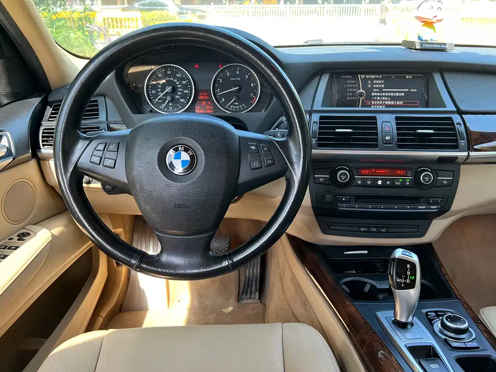 BMW X5 (Import) — миниатюра 9