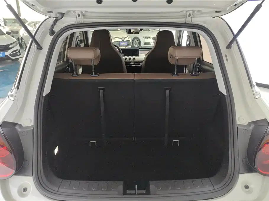 Wuling Binguo 2023 333km