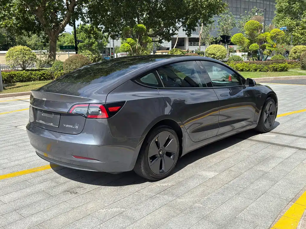 Tesla Model 3 — миниатюра 6