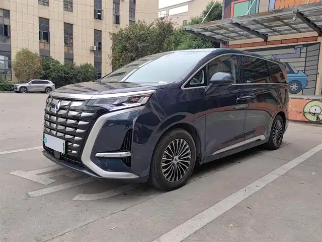 2023 Denza D9