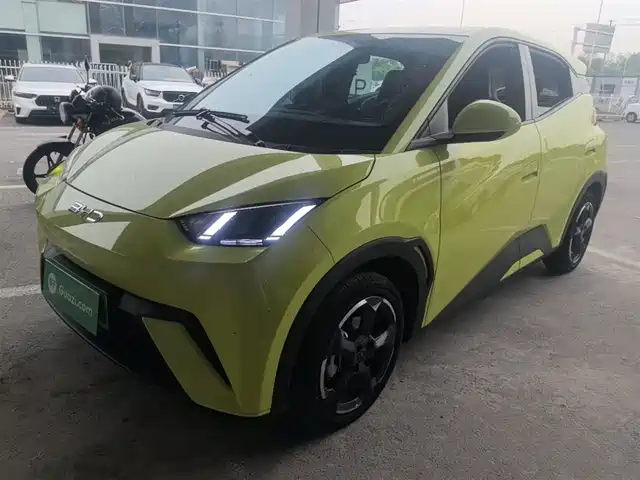 2024 BYD Seagull