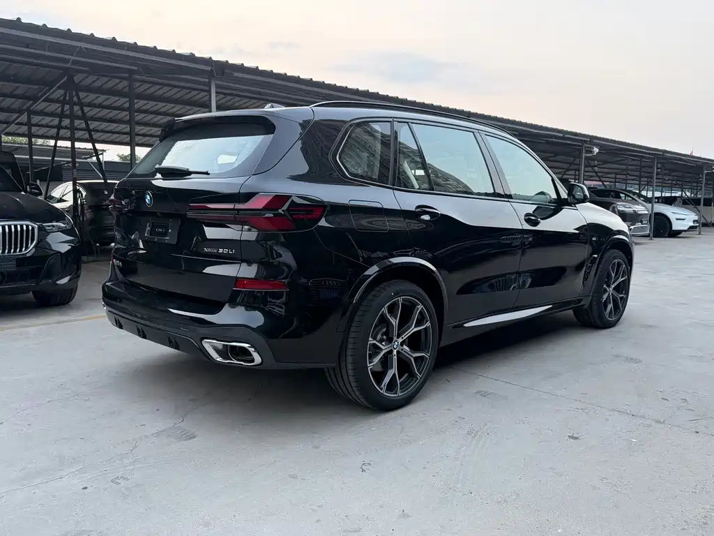 BMW X5 — миниатюра 5