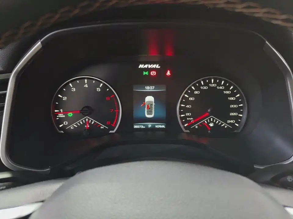 Haval Chitu Dynamic Enjoy Edition 1.5T Brass Rabbit, фото 8