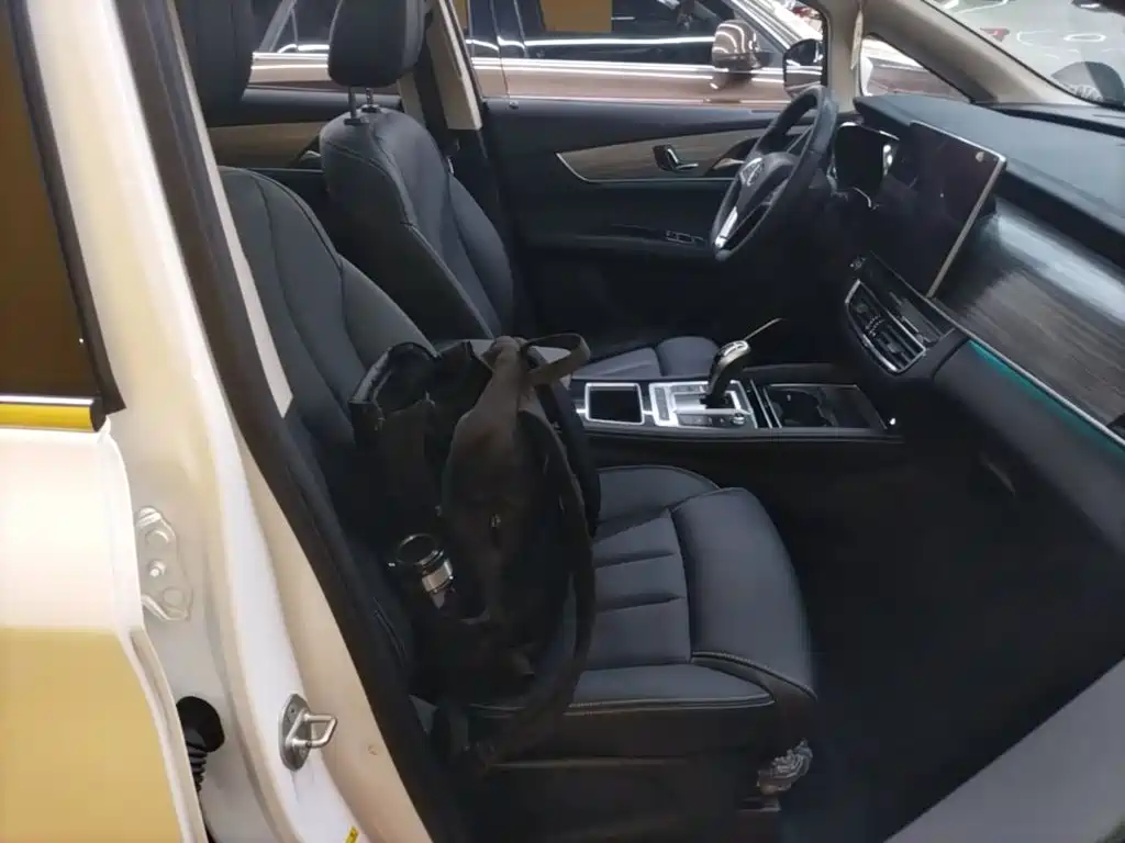 BYD MAX New Energy — миниатюра 25
