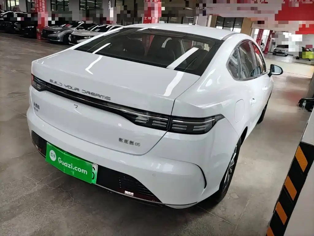 BYD Destroyer 05 2024 DM-i 55KM Luxury