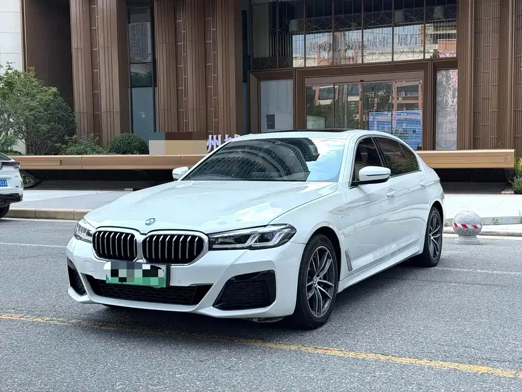 BMW 5 Series New Energy