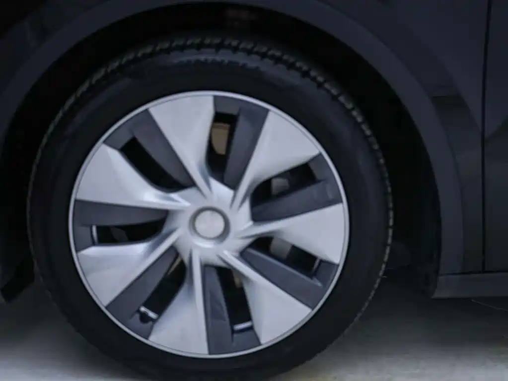 Tesla Model Y — миниатюра 10