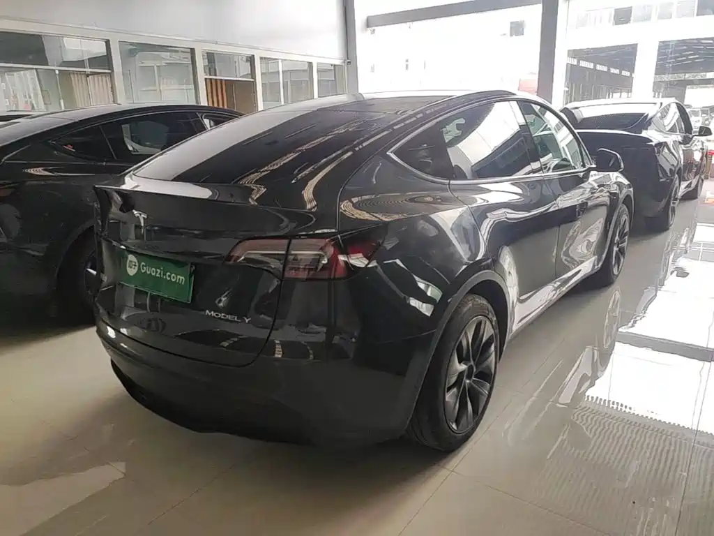 Tesla Model Y — миниатюра 7