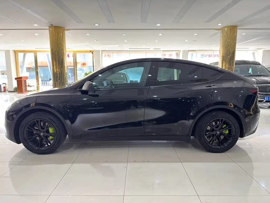 Tesla Model Y — миниатюра 3