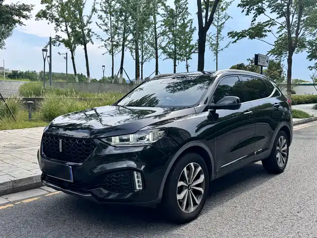 WEI PAI WEI BRAND VV6