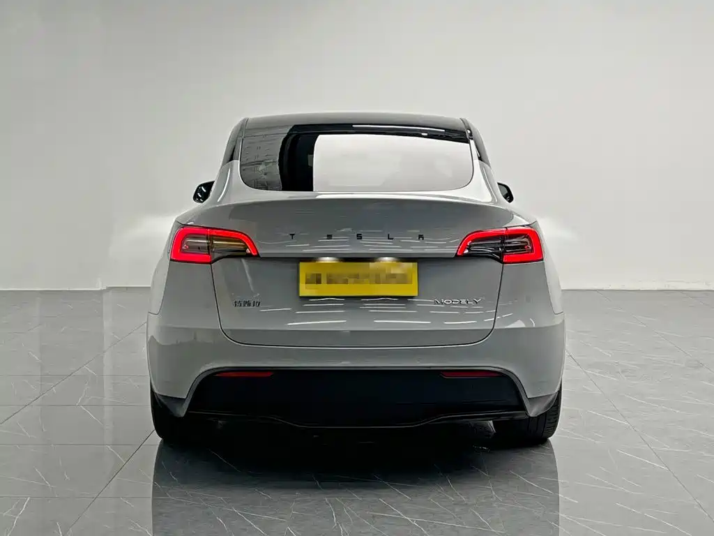 Tesla Model Y — миниатюра 5