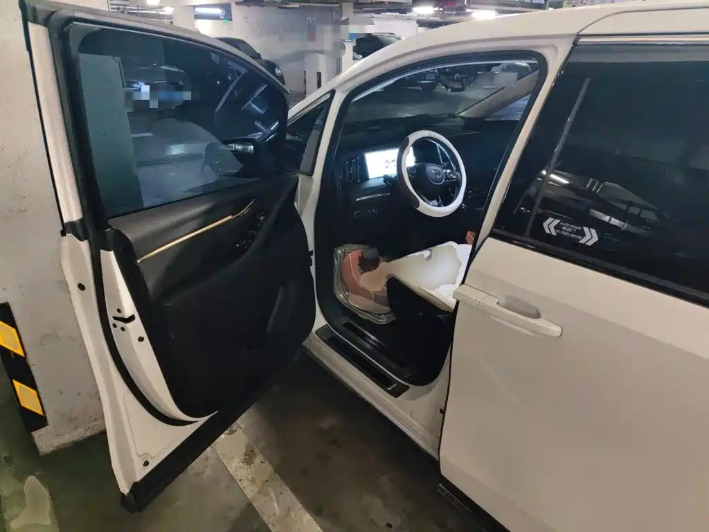 GAC Motor Trumpchi E9 — миниатюра 14