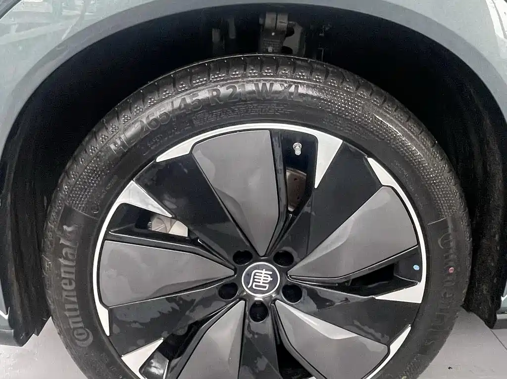 BYD Дон Л. — миниатюра 9
